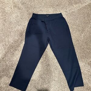 Hawthorn 16W navy crop